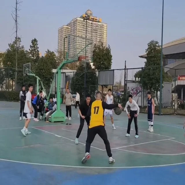 最新体育赛事资讯解析,掌握全球热点动态